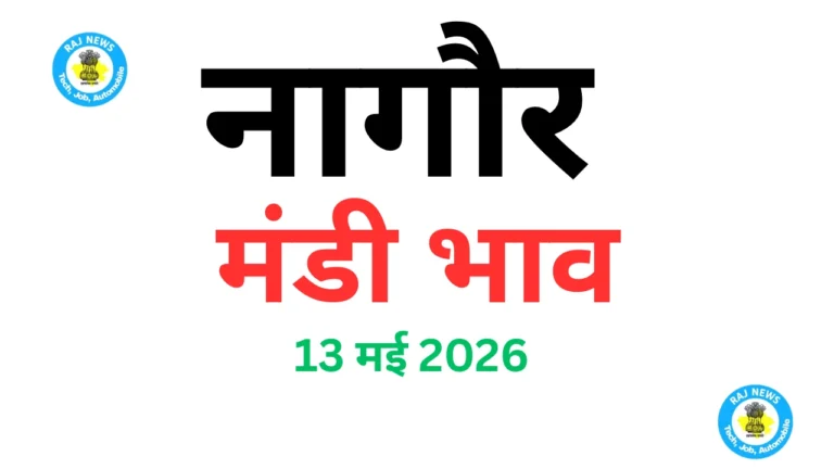 नागौर मंडी भाव