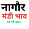 नागौर मंडी भाव