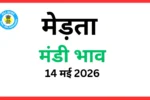 मेड़ता मंडी भाव (14 मई 2026)