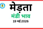 मेड़ता मंडी भाव (19 मई 2026)