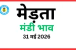 मेड़ता मंडी भाव (31 मई 2026)