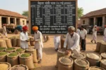 मेड़ता मंडी भाव आज के 11 मई 2026 को मूंग, जीरा और इसबगोल