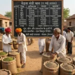 मेड़ता मंडी भाव आज के 11 मई 2026 को मूंग, जीरा और इसबगोल
