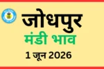 जोधपुर मंडी भाव (1 जून 2026)