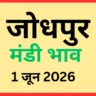 जोधपुर मंडी भाव (1 जून 2026)