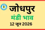 जोधपुर मंडी भाव (12 जून 2026)