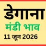 डेगाना मंडी भाव (11 जून 2026)