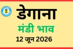डेगाना मंडी भाव (12 जून 2026)