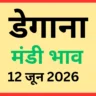 डेगाना मंडी भाव (12 जून 2026)