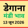 डेगाना मंडी भाव (13 जून 2026)