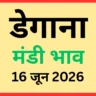 डेगाना मंडी भाव (16 जून 2026)