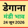 डेगाना मंडी भाव (24 जून 2026)