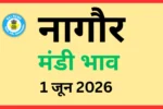 नागौर मंडी भाव (1 जून 2026)