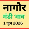 नागौर मंडी भाव (1 जून 2026)