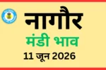 नागौर मंडी भाव (11 जून 2026)