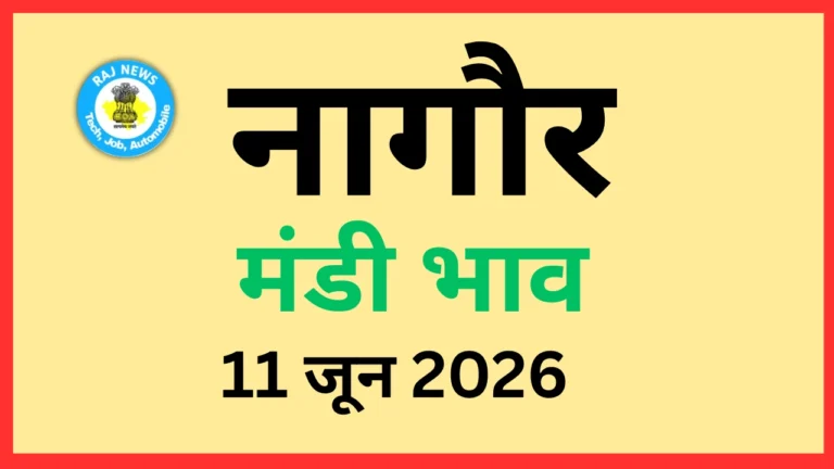 नागौर मंडी भाव (11 जून 2026)