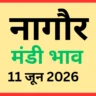 नागौर मंडी भाव (11 जून 2026)