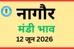 नागौर मंडी भाव (12 जून 2026)