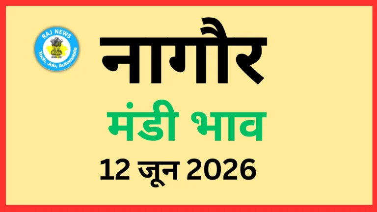 नागौर मंडी भाव (12 जून 2026)