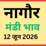 नागौर मंडी भाव (12 जून 2026)
