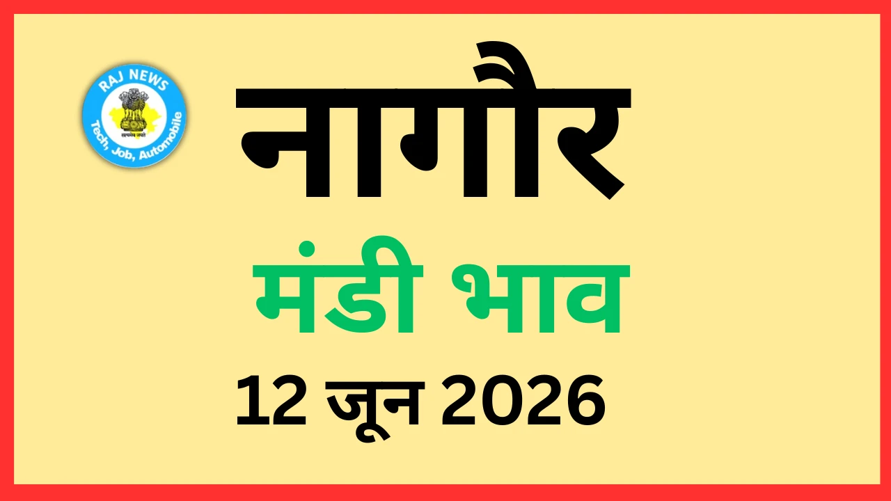 नागौर मंडी भाव (12 जून 2026)