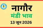 नागौर मंडी भाव (13 जून 2026)