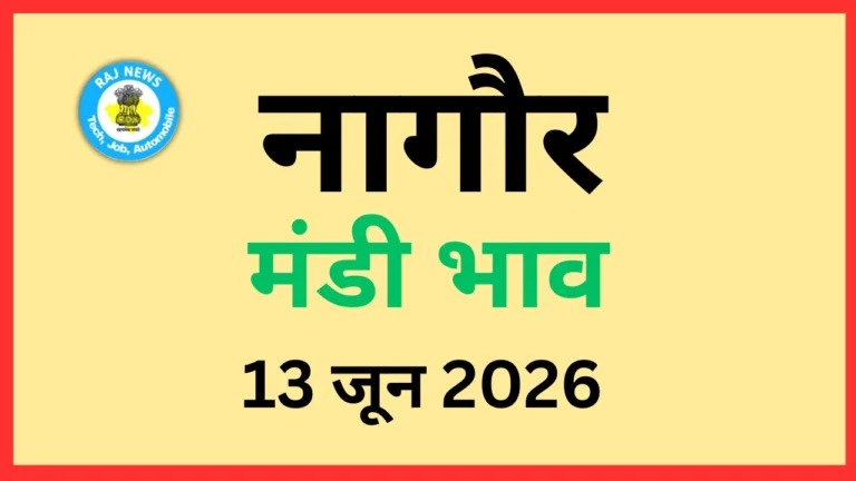 नागौर मंडी भाव (13 जून 2026)
