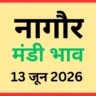 नागौर मंडी भाव (13 जून 2026)