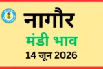 नागौर मंडी भाव (14 जून 2026)