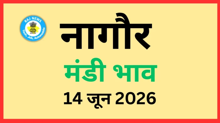 नागौर मंडी भाव (14 जून 2026)