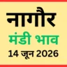 नागौर मंडी भाव (14 जून 2026)