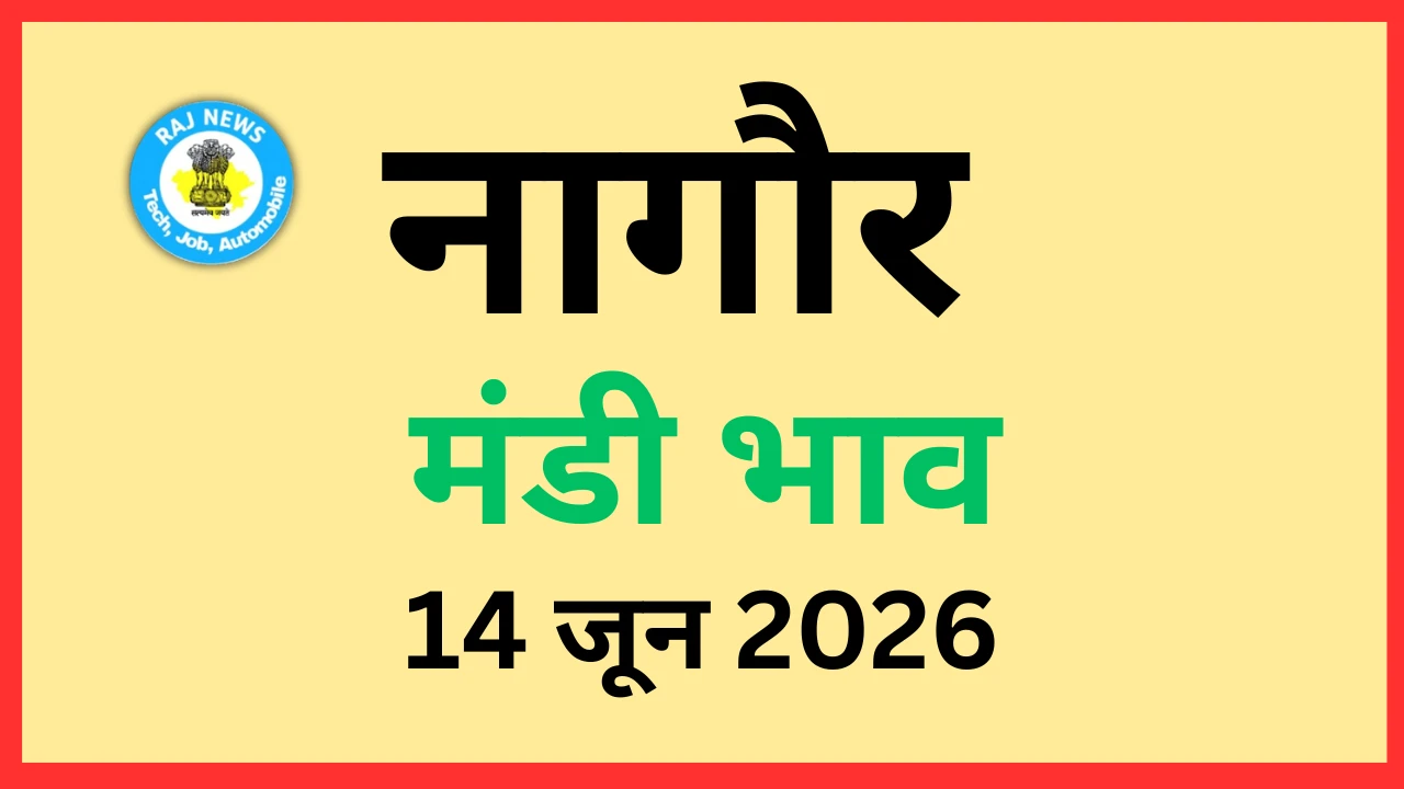 नागौर मंडी भाव (14 जून 2026)