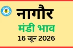 नागौर मंडी भाव (16 जून 2026)