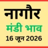 नागौर मंडी भाव (16 जून 2026)