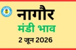 नागौर मंडी भाव (2 जून 2026)