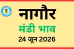नागौर मंडी भाव (24 जून 2026)