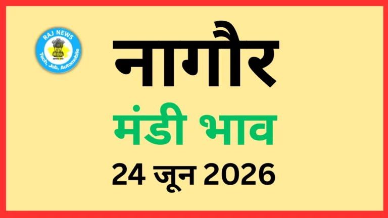 नागौर मंडी भाव (24 जून 2026)
