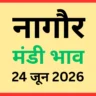 नागौर मंडी भाव (24 जून 2026)
