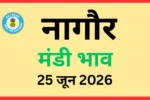 नागौर मंडी भाव (25 जून 2026)