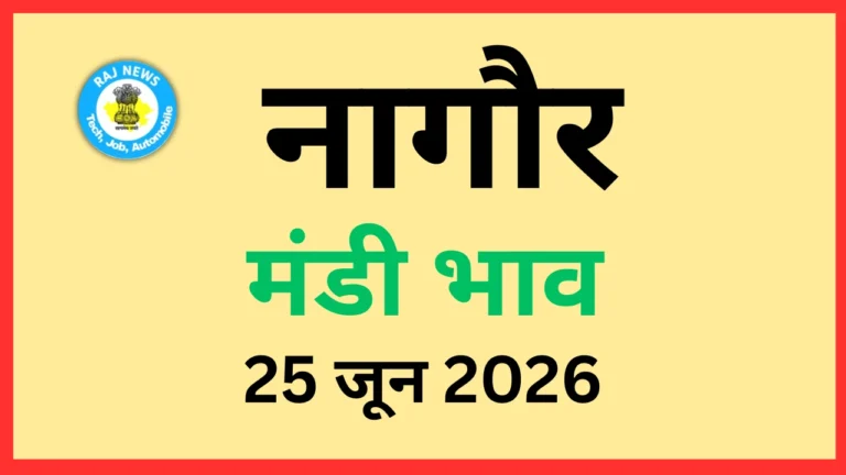 नागौर मंडी भाव (25 जून 2026)