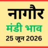 नागौर मंडी भाव (25 जून 2026)
