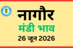 नागौर मंडी भाव (26 जून 2026)