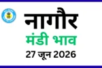 नागौर मंडी भाव (27 जून 2026)