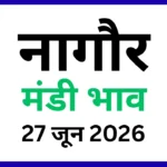 नागौर मंडी भाव (27 जून 2026)
