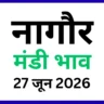 नागौर मंडी भाव (27 जून 2026)