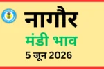 नागौर मंडी भाव (5 जून 2026)