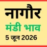 नागौर मंडी भाव (5 जून 2026)