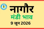 नागौर मंडी भाव (9 जून 2026)