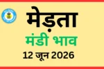 मेड़ता मंडी भाव (12 जून 2026)