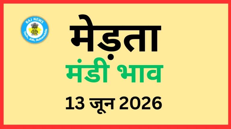मेड़ता मंडी भाव (13 जून 2026)